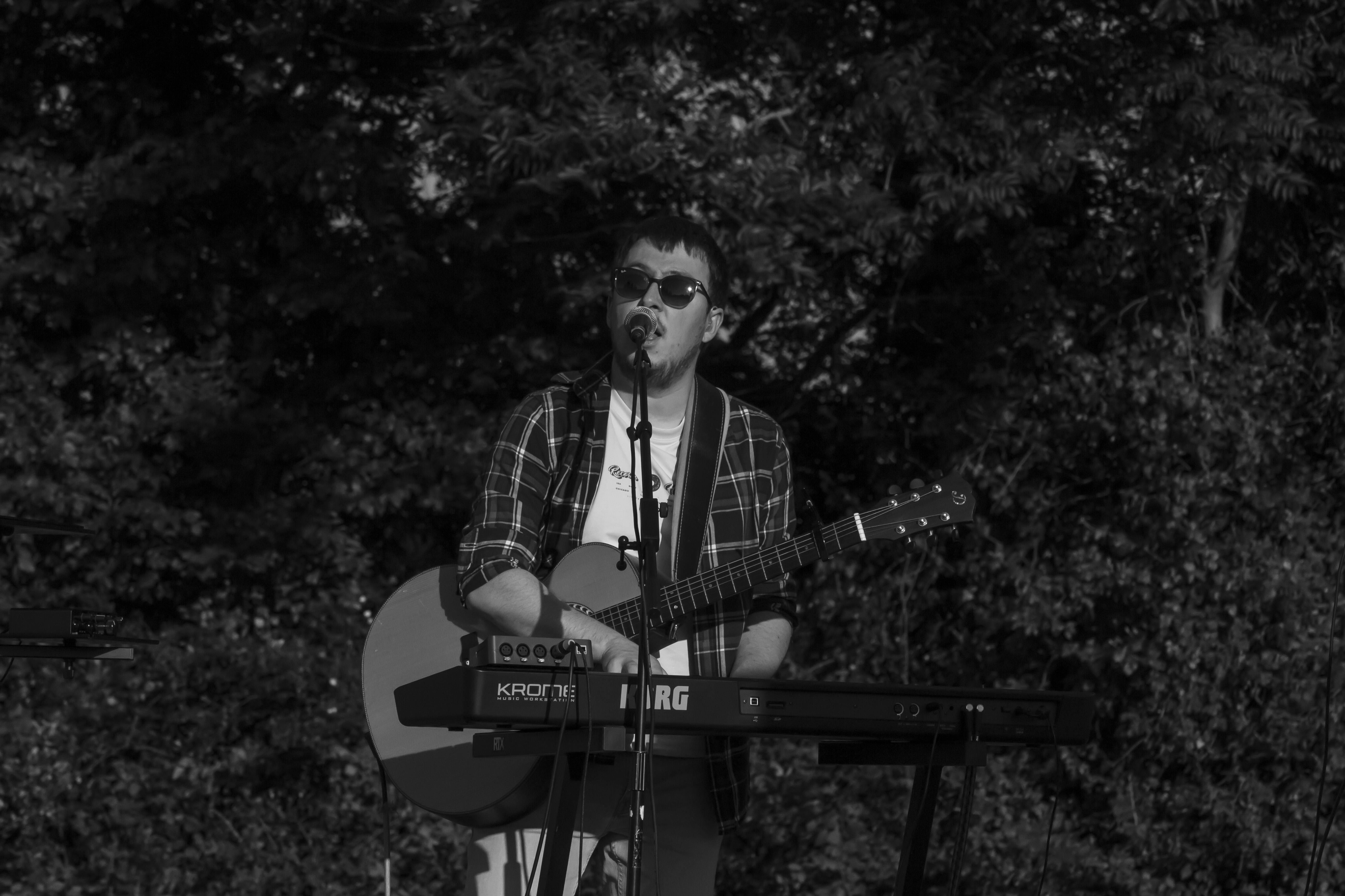 Alex guitare forêt